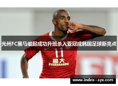 光州FC黑马崛起成功升班杀入亚冠成韩国足球新亮点 光州FC黑马崛起成功升班杀入亚冠成韩国足球新亮点